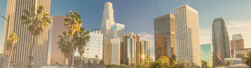 Photo of downtown Los Angeles for Ryan O’Toole and Eric Cartier announcement